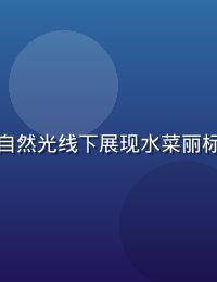 水菜丽个人写真档案照，清纯风格，自然光线下展现水菜丽标志性微笑与精致面容，背景简洁干净