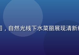 水菜丽清纯系代表作封面图，自然光线下水菜丽展现清新纯净的形象，色调明亮温暖