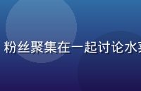 粉丝社群活动现场照片，粉丝聚集在一起讨论水菜丽作品，氛围热烈友好